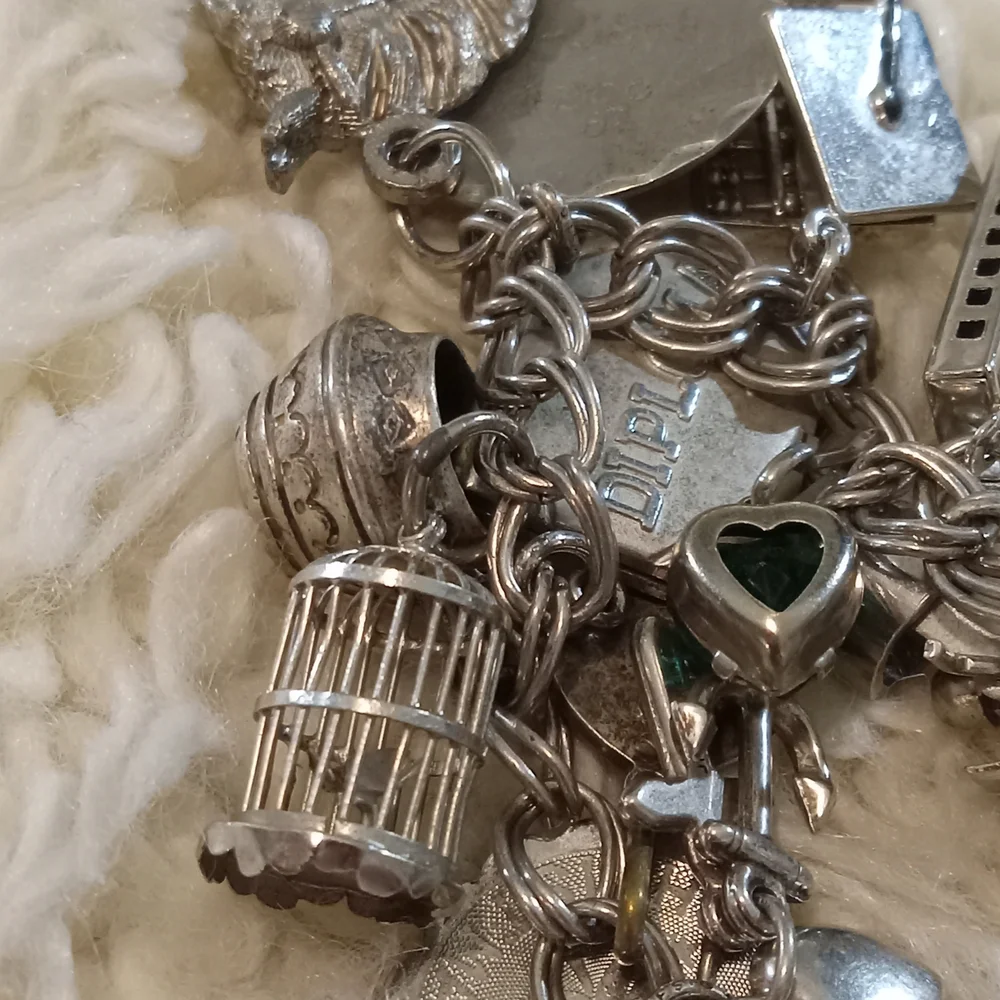 Silver Charm Bracelet - Picture 11 of 12